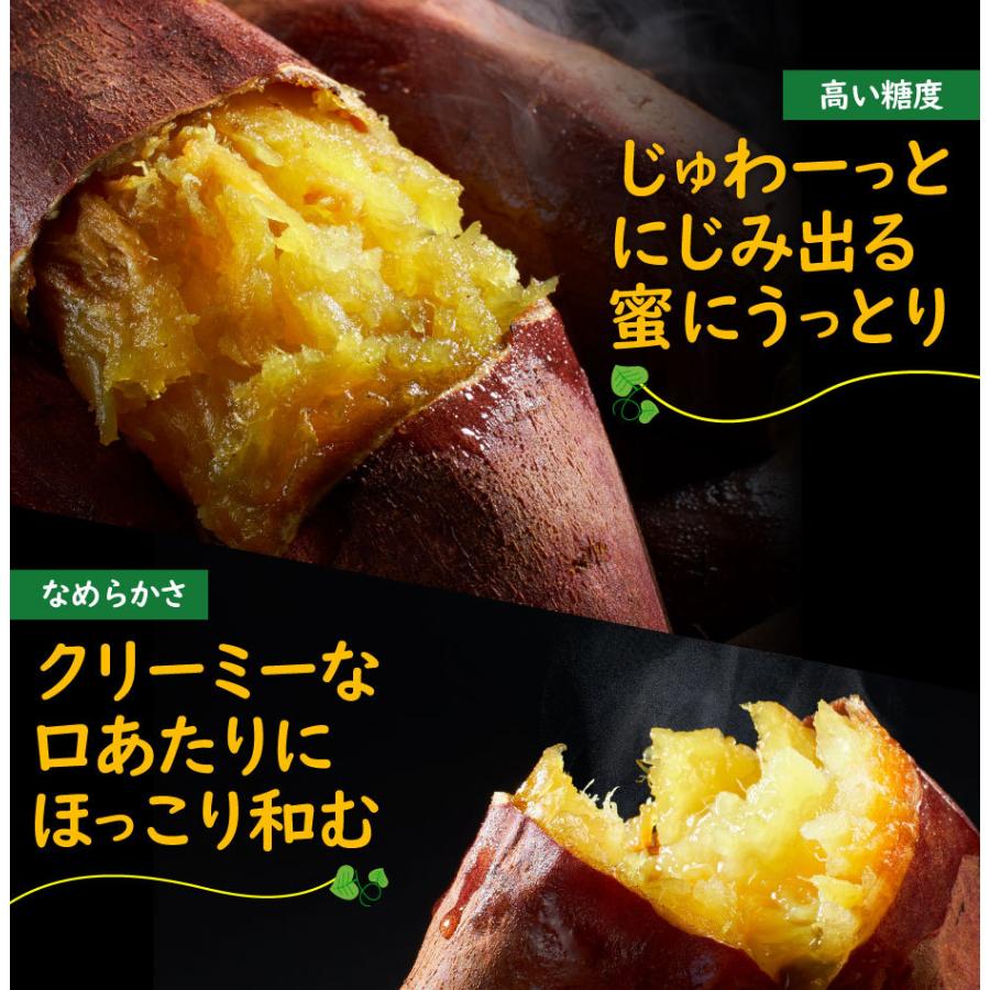 焼き芋 (P3倍) 冷凍 さつまいも 紅はるか 1kg セット 財宝 蜜焼き芋 500g×2 パック 送料無料 国産 無添加 長期熟成 甘い 鹿児島県産 サツマイモ お歳暮