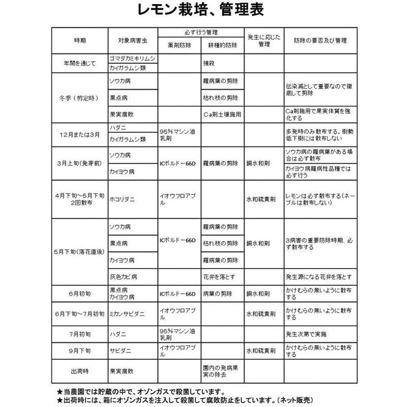 国産レモン 農薬不使用 5kg AB混合品 瀬戸田レモン ノーワックス 防腐剤 防かび剤不使用 広島レモン 残留農薬ゼロ レモン