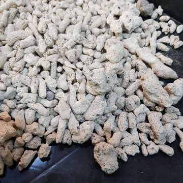 P老闆水族~珊瑚骨 珊瑚石 珊瑚砂 500克/1公斤 鹼性 珊瑚骨 調節穩定PH 魚缸底砂 過濾 造景 底沙 底材