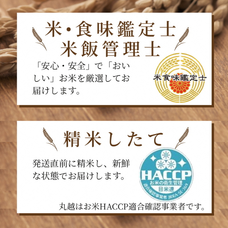 京都丹波産 きぬひかり 5kg × 6ヶ月 計30kg ※米食味鑑定士厳選 ※精米したてをお届け《米 令和5年産 新米》 ※北海道・沖縄・離島への配送不可