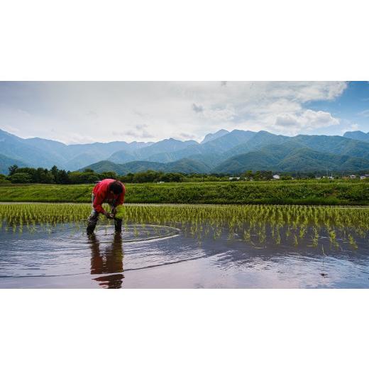 ふるさと納税 山梨県 北杜市 そらくも農場のミネラルたっぷりどんぐり米（玄米３kg）＋おじら米（玄米３kg）