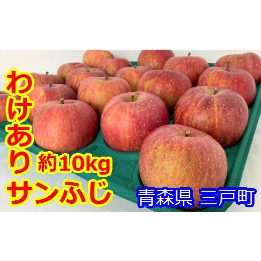 ふるさと納税 青森県 三戸町 りんご「サンふじ」28〜40玉（約10kg）