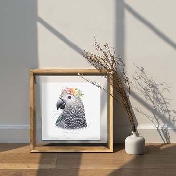 灰鸚鵡/相框畫/透明相框/裝飾/擺飾/送禮/紀念