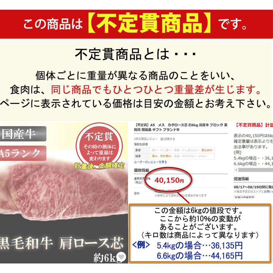 佐賀牛 リブロース 約9〜12kg A5ランク 5等級 産地直送 牛肉 国産肉 ブロック 業務用 焼き肉 バーベキュー
