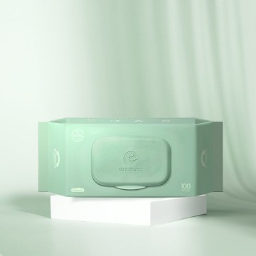 韓國 ENBLANC NEO 輕柔薄荷有蓋純水濕紙巾