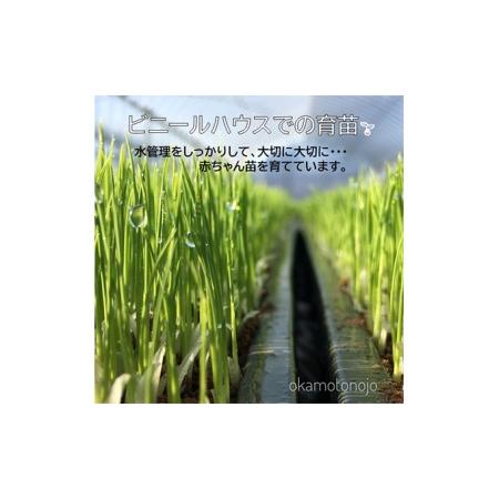 ふるさと納税 2022年日本農業賞「大賞」お米農家のわくわく便(4種類×4.5kg精白米） 石川県能美市