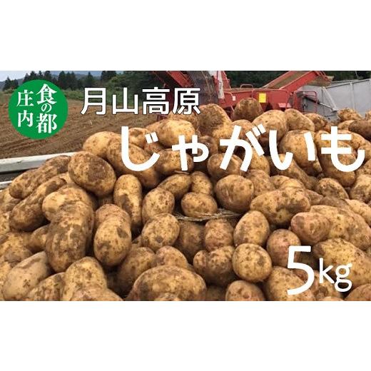 ふるさと納税 山形県 三川町 食の都庄内　月山高原のじゃがいも　約5kg