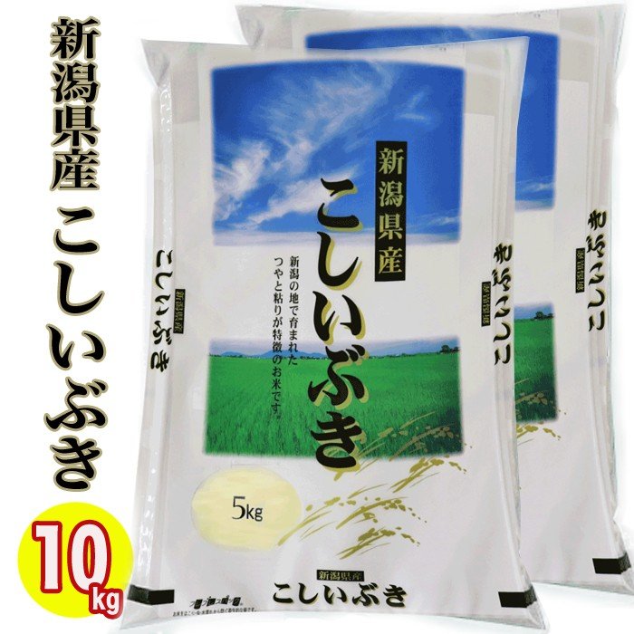 新米 令和５年産 ★送料無料★（新潟ブランド米） 新潟県産こしいぶき 10kg (5kg×2) 令和5年産  (新潟産直米) 白米  精米  精米仕立て  米 10kg  新潟米