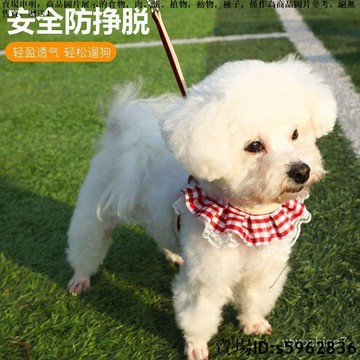 【台灣免運】狗狗牽引繩狗繩小型犬胸揹帶博美泰迪牽引繩比熊牽引繩狗繩狗鏈子