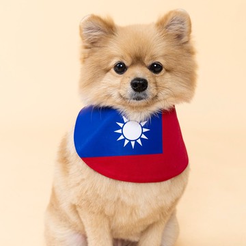 【跨年必備】寵物台灣國旗領巾
