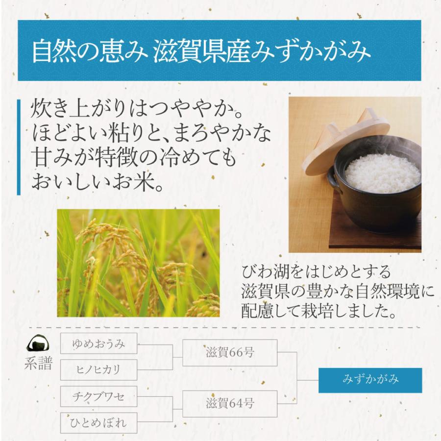 米 お米 米30kg 白米 送料無料 みずかがみ 滋賀県産 安い 30kg こめ30kg 米30キロ お米30キロ お米30kg 精米 単一原料米 令和5年産 新米 美味しい 生活応援 格安