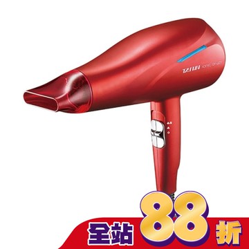 達新牌銀離子抗菌負離子吹風機TS-2969