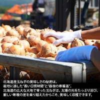 471.オニオンスープ 60食 パック本格 玉ねぎ スープ 玉葱 オニオン タマネギ  北海道 弟子屈町