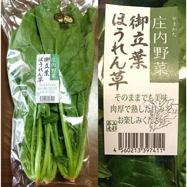 庄内 野菜セット 6品 送料無料 おまかせ　山形県庄内産 野菜詰め合わせ 新鮮 地物野菜