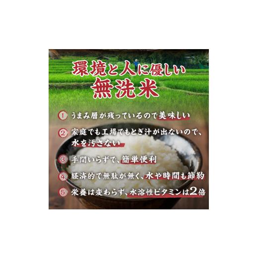 ふるさと納税 山梨県 北杜市 令和5年度新米　金芽米特別栽培米農林48号2kg×5（10kg）