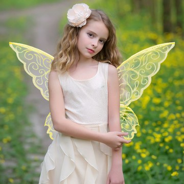 洛陽牡丹 成人兒童派對撒粉蝴蝶翅膀道具萬聖節節演出精靈翅膀