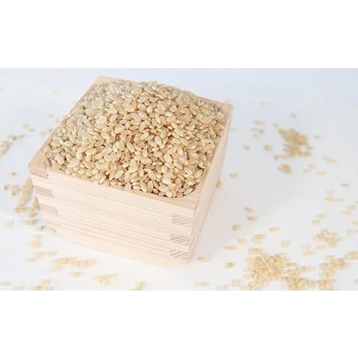 ふるさと納税 岐阜県 垂井町 T rice Store 岐阜県産コシヒカリ（玄米） 約15kg(5kg×3回）