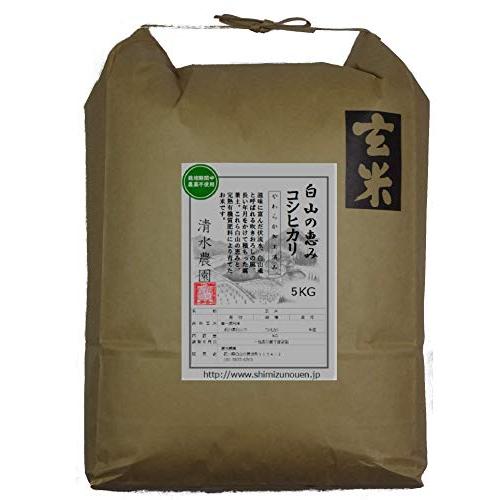 やわらか玄米 農薬不使用 コシヒカリ 令和5年産(2023年産） 石川県白山市産 有機肥料で育てたお米 … (5kg)