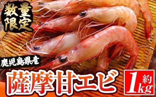 akune-2-45 数量限定！鹿児島県阿久根産 薩摩甘エビ(約1kg・42～50尾) 国産 阿久根市産 えび 海老 急速冷凍 冷凍配送 魚貝類 魚介類 海産物 2-45