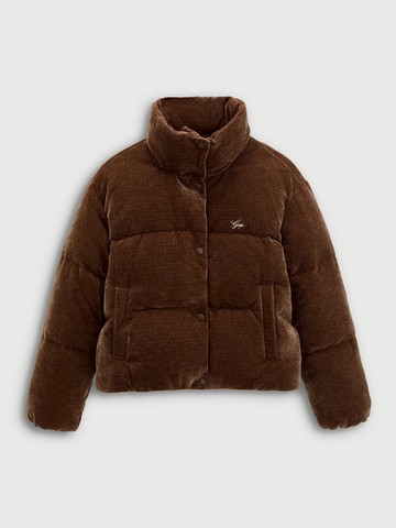 女裝 Logo刺繡立領羽絨外套-棕色