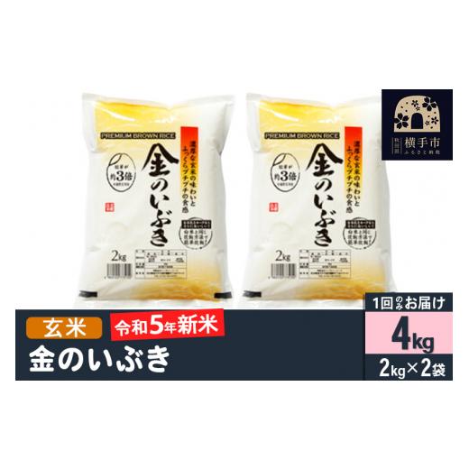 ふるさと納税 秋田県 横手市 令和5年産 金のいぶき 4kg(2kg×2袋)