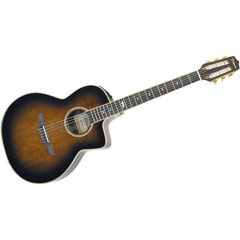 TAKAMINE (高峰) エレクトリック・ガットギター（エレガット） DMP670NC VTS