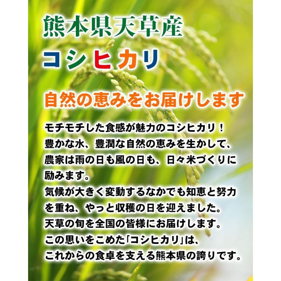 令和２年　熊本県天草産 コシヒカリ　精白米10kg(5kg×2袋)