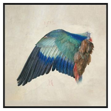 菠蘿選畫所 藍鵲的翅膀 杜勒 AVAR6668B  60 x 60cm  黑色