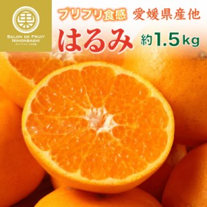 [予約 1月25日-2月28日の納品]  はるみ 約1.5kg 愛媛県産ほか はるみみかん 柑橘 みかん 甘い 高糖度  果実ギフト