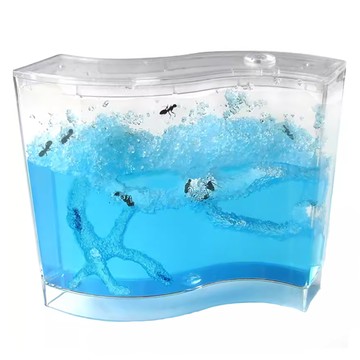 螞蟻日記 生態教學玩具 中，生態觀察、學習生物知識，培養孩子對生命的尊重  1個