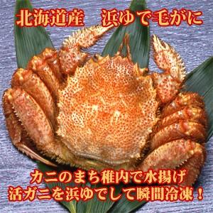 毛がに 北海道産　浜ゆで（冷凍）650g×1尾