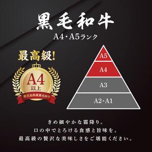 ふるさと納税 鹿児島県産和牛サーロインステーキ　200g×4枚 鹿児島県大崎町