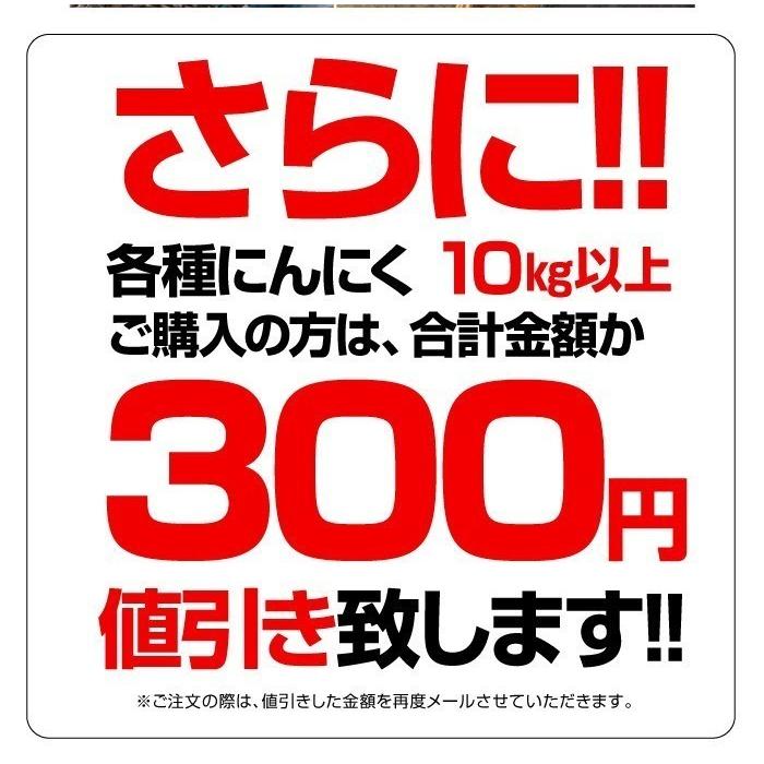 訳あり 乾燥にんにく 大玉 1kg 令和5年産 5kg以上ご購入で送料無料 国産 青森県産 福地ホワイト六片 Lサイズ 食品 香味野菜 にんにく 大蒜 健康のために