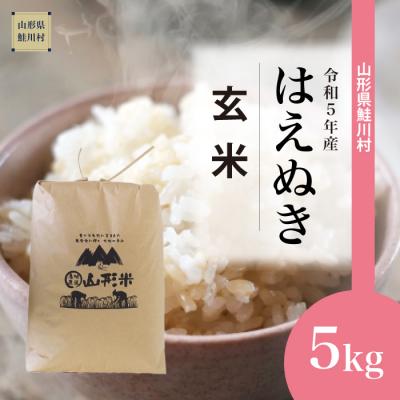 ふるさと納税 鮭川村 令和5年産 鮭川村 はえぬき  5kg(5kg×1袋)