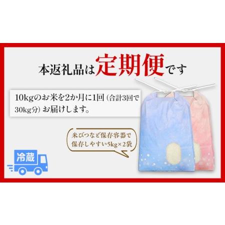 ふるさと納税 定期便 令和5年産宮崎県産米 夏の笑み(5kg×2個) 10kg×各月3回 計30kg 宮崎県宮崎市