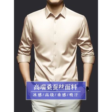 高端桑蠶絲免熨燙長袖襯衫2025年男士春秋季商務休閑男裝大碼襯衣