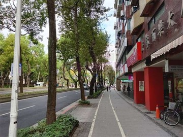 中山北路林蔭大道電梯精華兩房｜台北市中山區中山北路三段