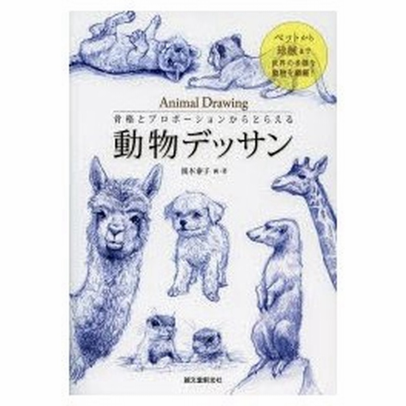 骨格とプロポーションからとらえる動物デッサン ペットから珍獣まで世界の多様な動物を網羅 通販 Lineポイント最大0 5 Get Lineショッピング