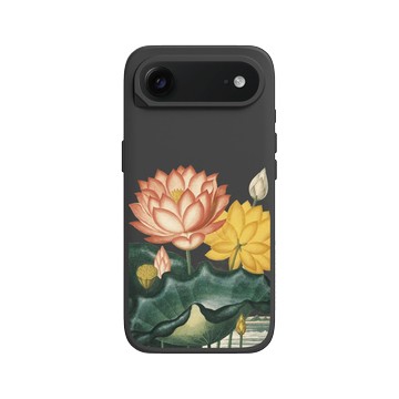 iPhone Air SolidX 黑 - The British Library - 花之殿 ‧ 蓮