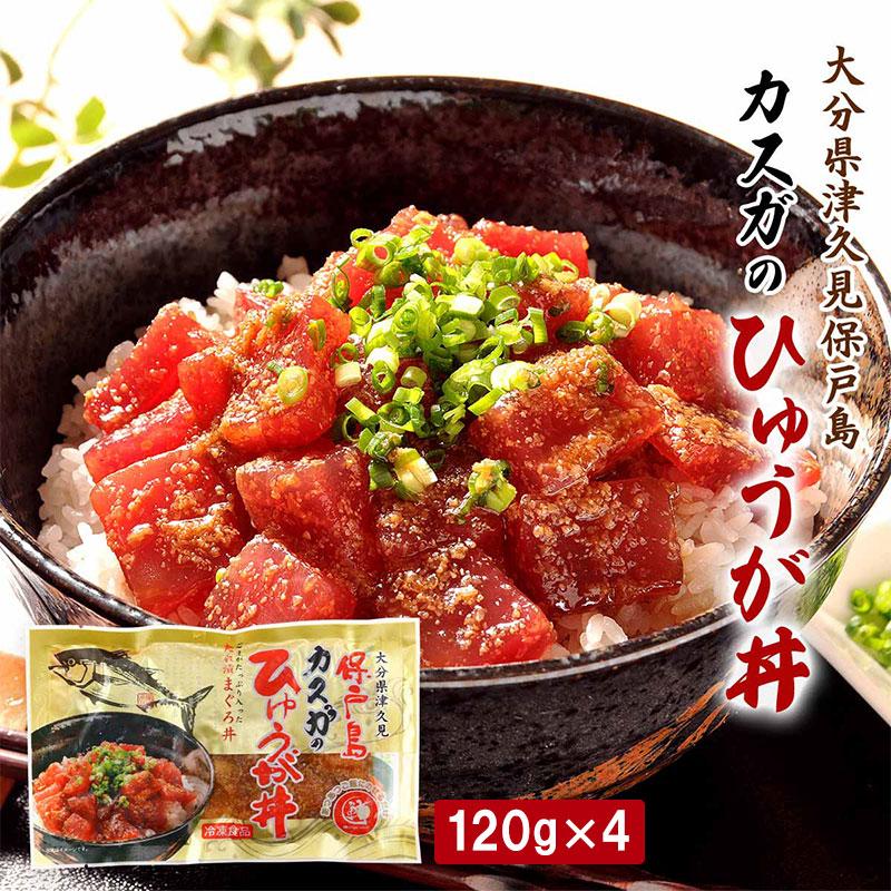 カスガのひゅうが丼 120g×4