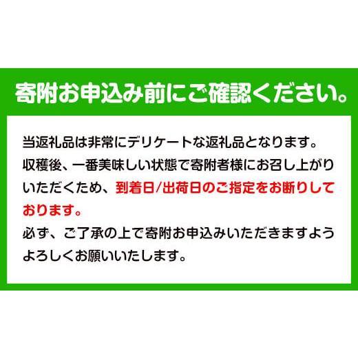 ふるさと納税 和歌山県 紀の川市 観音山熟れ熟れ桃（川中島白桃）2kg 有限会社柑香園《2024年7月下旬-8月上頃より順次出荷》和歌山県 紀の川市 フルーツ 果物 …