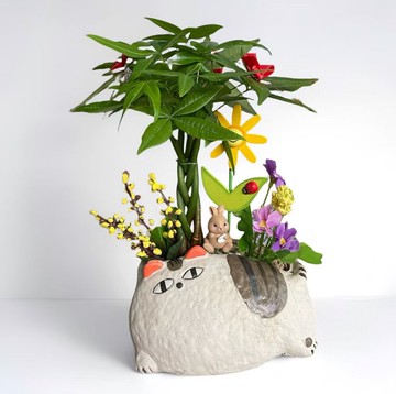 【開幕送禮首選】馬拉巴栗招財樹 開幕新居喬遷升官送禮 自用擺設