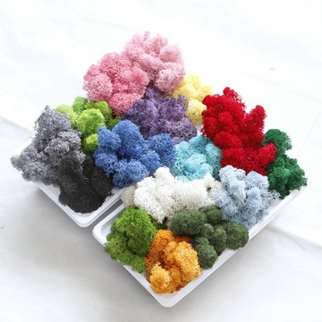 台灣發票現貨出貨 永生苔蘚10克一份 微景觀 青苔 苔癬 高品質A級 假山造景 鋪底用苔草 水草