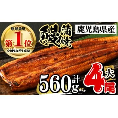 ふるさと納税 曽於市 うなぎ蒲焼セット(約140g×4尾・タレ・山椒付)