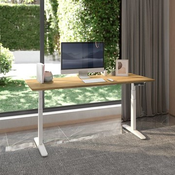 【升級款】Flexispot 三節 磁吸式收納 電動升降桌 120*60桌組
