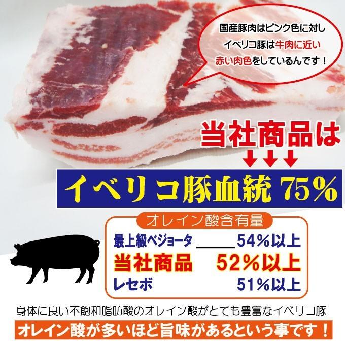 お中元 夏ギフト 贈答品 プレゼント送料無料 バラスライスイベリコ豚　焼肉・しゃぶしゃぶ用たっぷり500ｇ　ベジョータ匹敵　お歳暮 御歳暮 cut