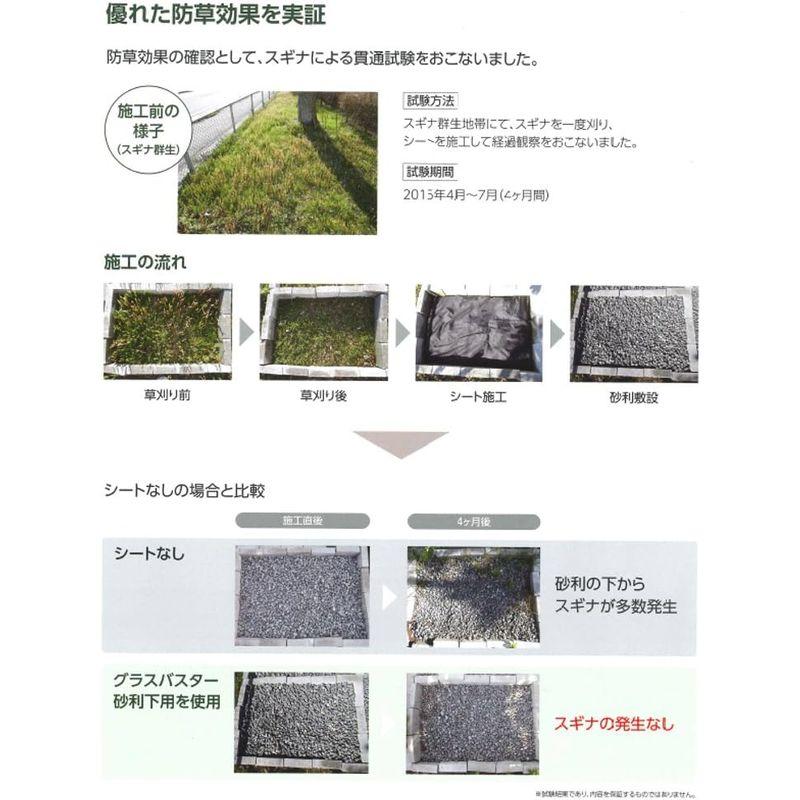 ガーデニング用品 大建工業 砂利下専用 織物防草シート グラスバスター 砂利下用専用施工ピン QM0492-B13 幅45×100mm 鉄 50本入り ダイケ