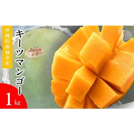 ふるさと納税 キーツマンゴー 南城市 約1kg (1〜2玉) 沖縄県南城市