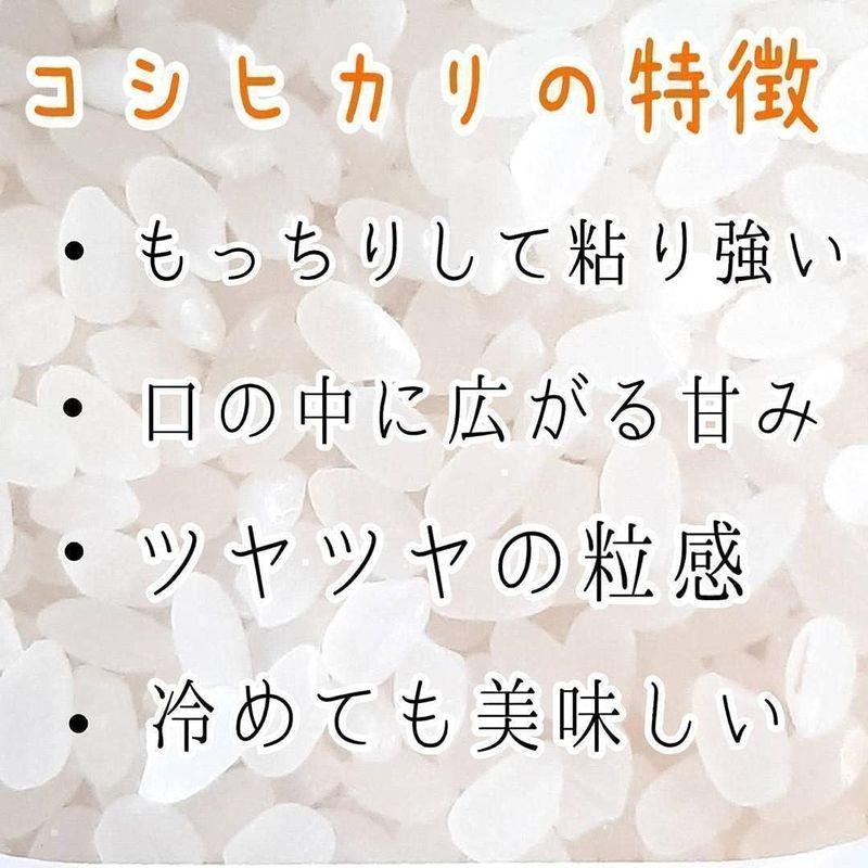 白米令和4年度 埼玉県産 コシヒカリ 3kg 紙袋 検査米 一等級 のおいしいお米 精米したてをお送り致します プレゼント 販促品 贈答用