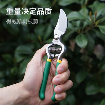 修樹剪刀果樹枝剪園藝修剪樹枝園林省力修花枝剪家用工具剪子8寸